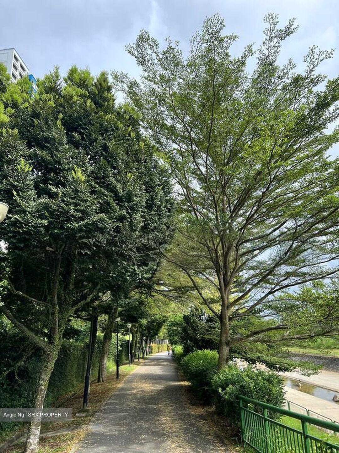 Yew Mei Green (D23), Condominium #517267501